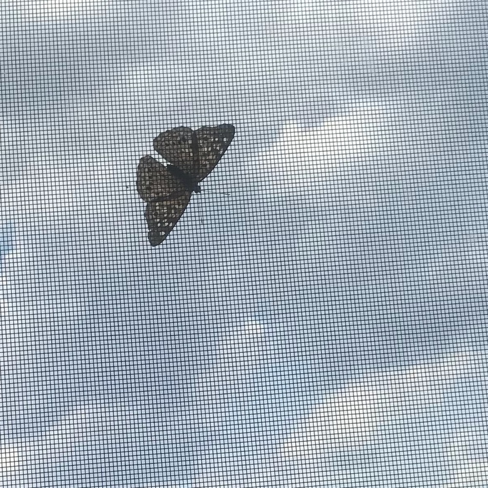 Meet your Posher, Kennedy